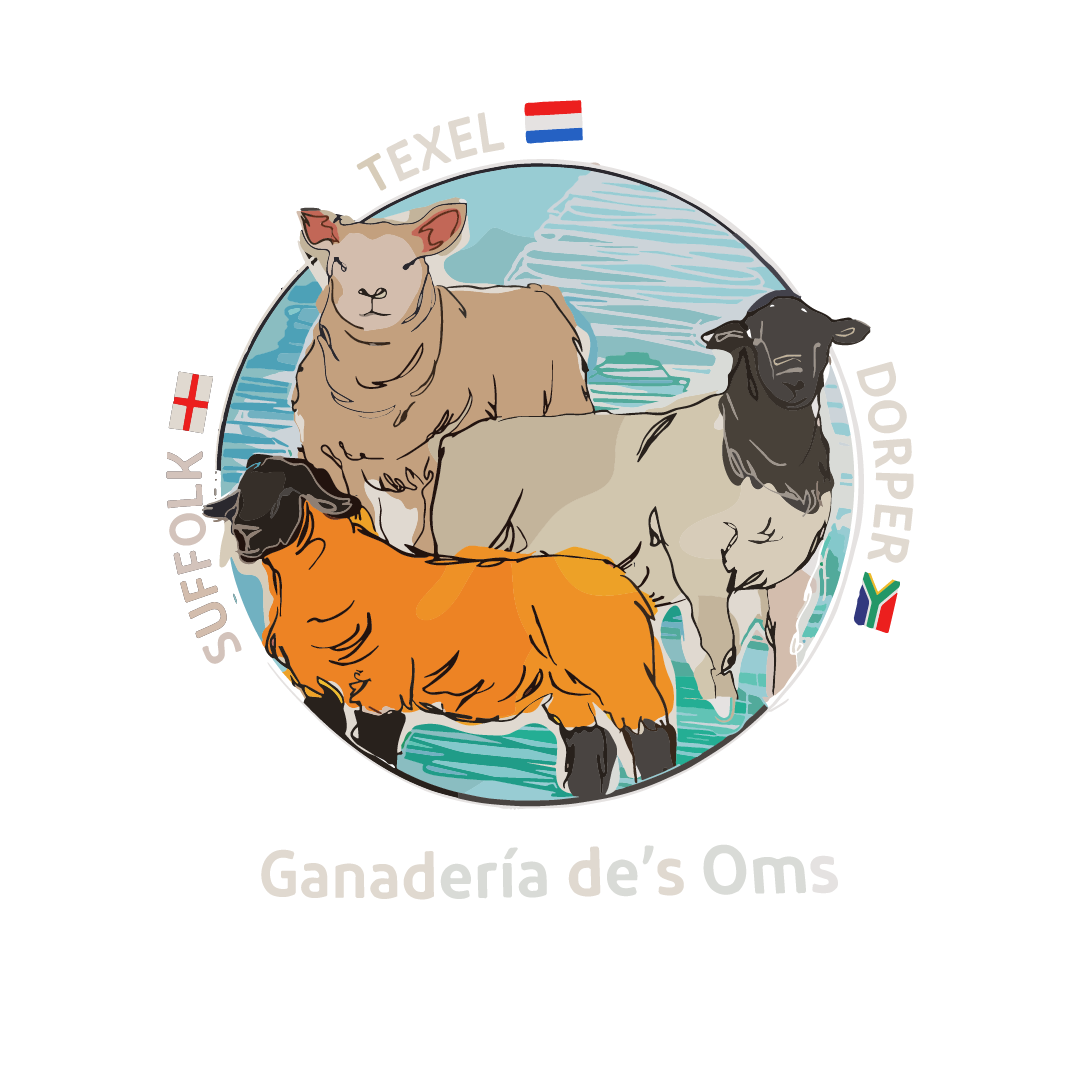 GANADERIA DEES OMS